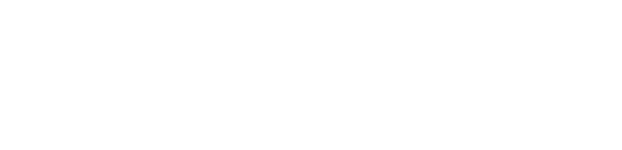 logo light
