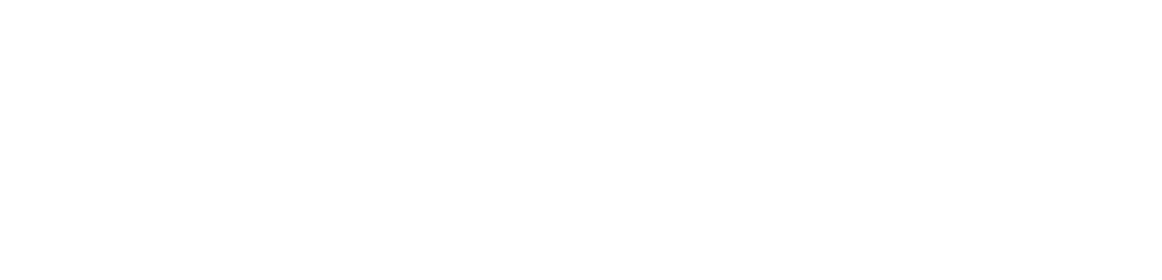logo light